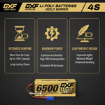 DXF Gold Series 4S 14.8V 6500mAh 100C Graphene Hardcase LiPo Battery with EC5 & 10AWG Wire (1-6 Pack)
